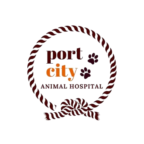 Port City Animal Hospital