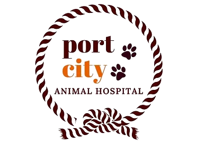 Port City Animal Hospital