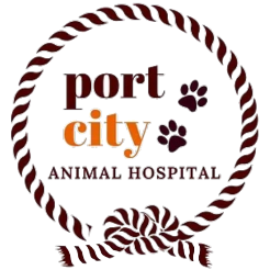 Port City Animal Hospital