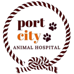 Port City Animal Hospital