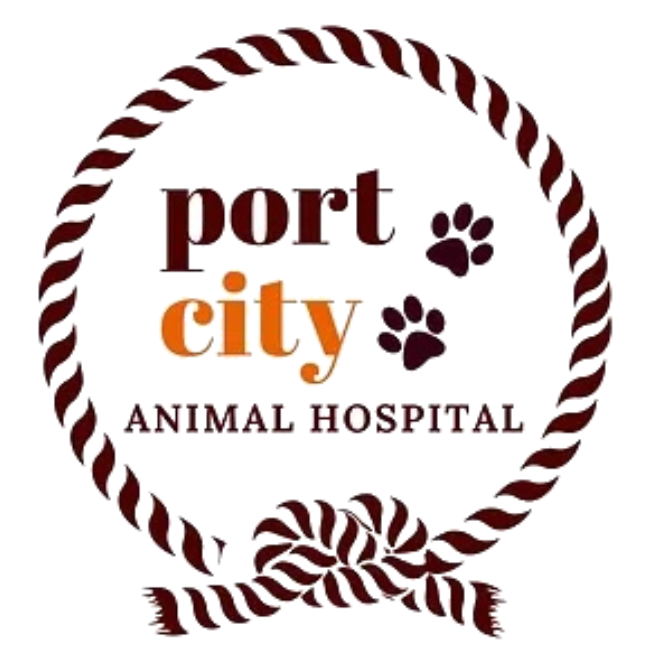 Port City Animal Hospital